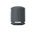 SONY SRS-XB100 Portable Bluetooth Speaker - Black