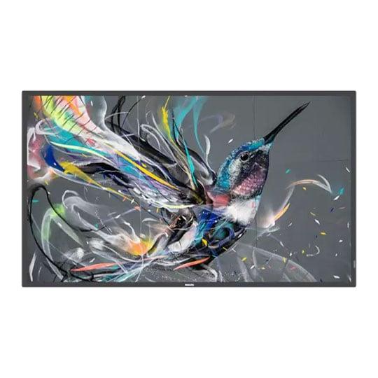 Philips Q Line 55Bdl3511q 55 