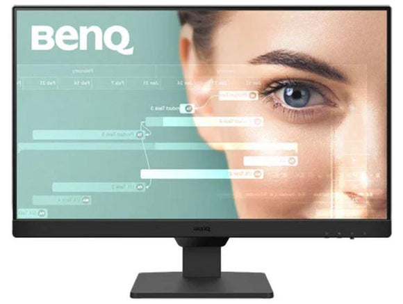 BenQ 24