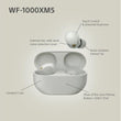 Sony WF-1000XM5 Wireless Bluetooth In-Ear Noise Cancelling Earbuds Silver