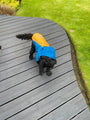 Pet Waterproof Dog Raincoat with Hi Vis Panel adjustable Velcro well made Size Medium - Student Computers